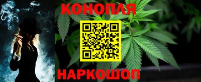 прущие грибы Тулун