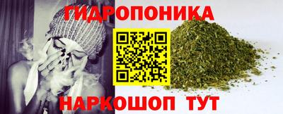прущие грибы Тулун