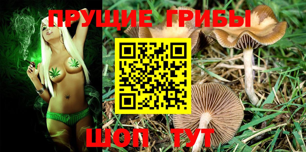 Мценск  Галлюциногенные грибы Magic Shrooms  Вход с VPN 
